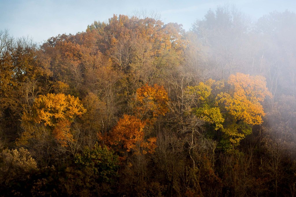 Wisconsin and Iowa fall landscapes (2018)