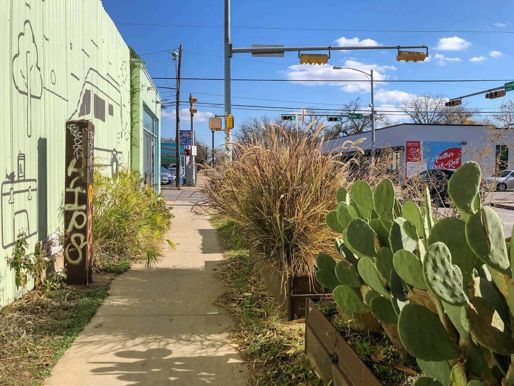 Cactus on Sidewalk Austin Texas