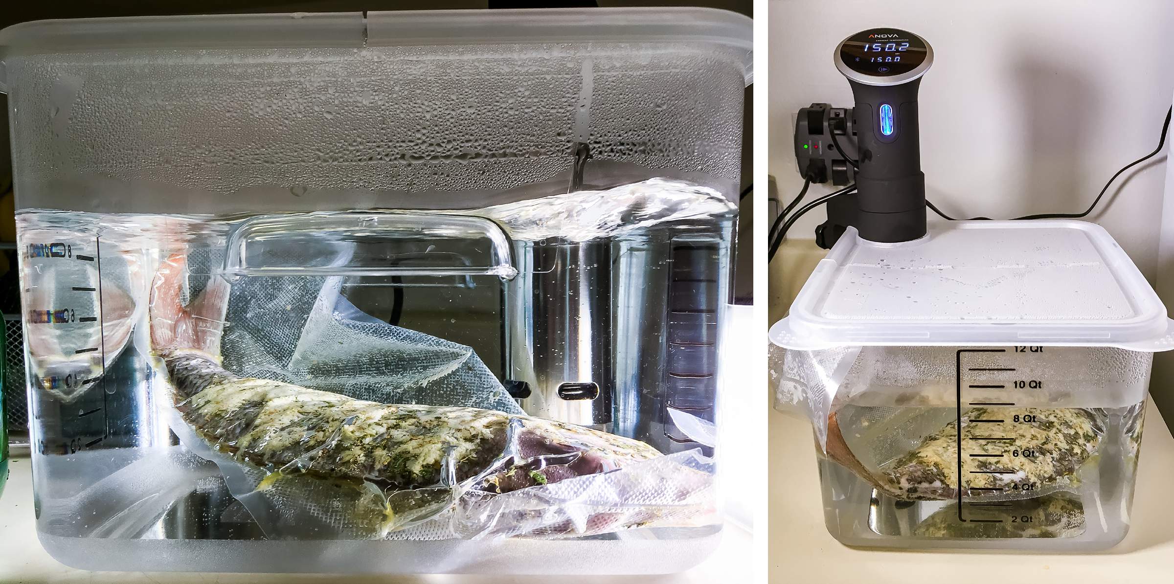 Sous Vide Fish Recipe 130°F for 1 hour Red Snapper