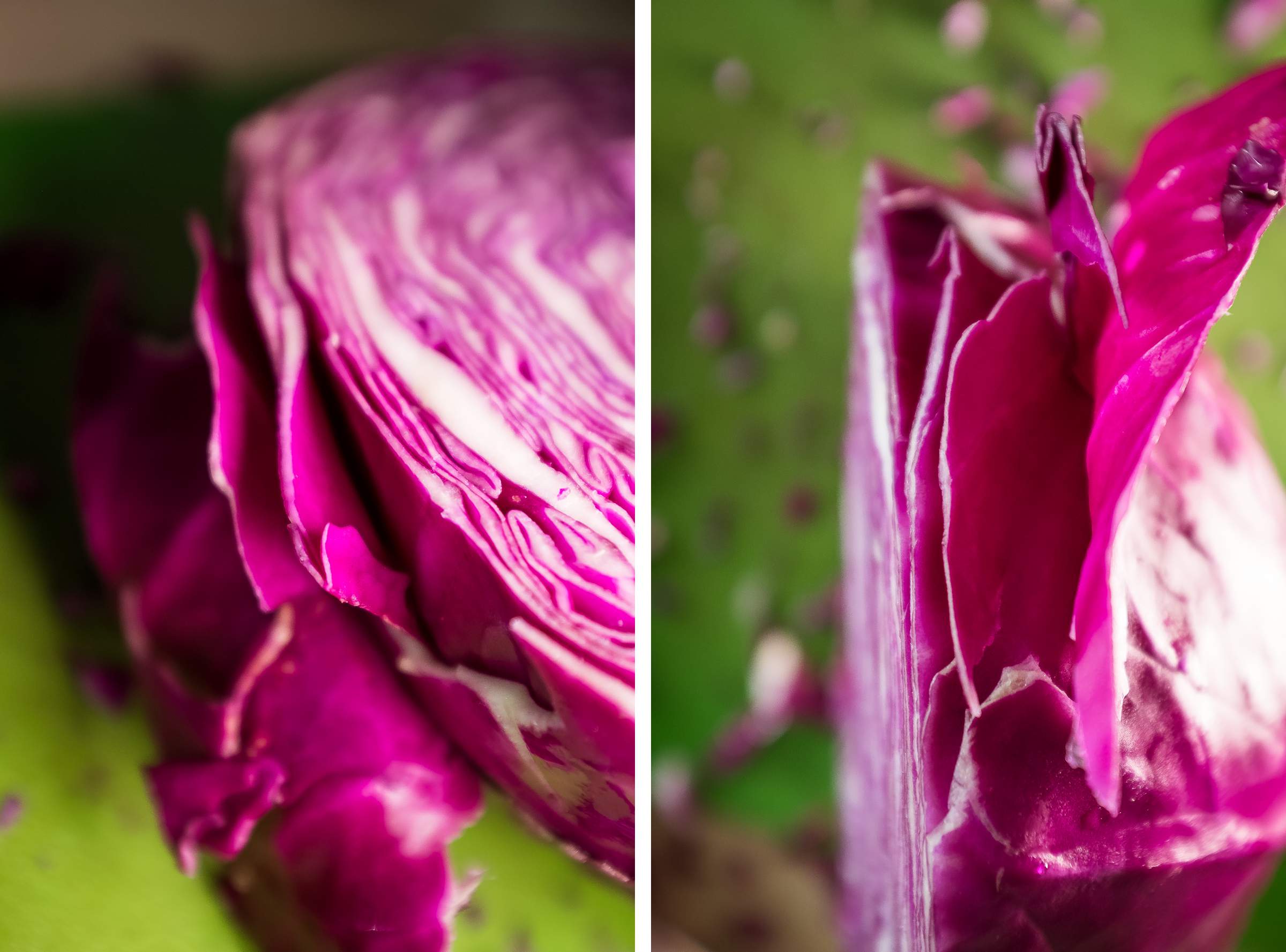 How to clean and cut red cabbage recipe with apples orange goat cheese